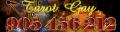 Se ofrece Otros Servicios: tarot  gay  economico